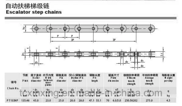 Driving Rotary Chains for Conveyor
