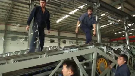 Escalator Parts Shock-Resistant Handrail Reversing Chain
