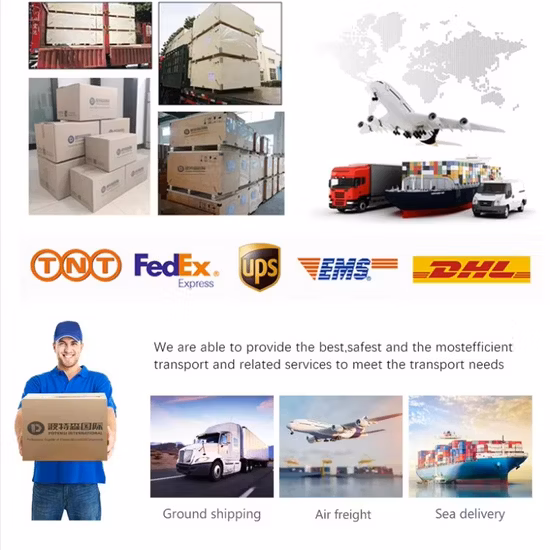 17 Rollers Escalator Parts Handrail Reverse Rotary Chain